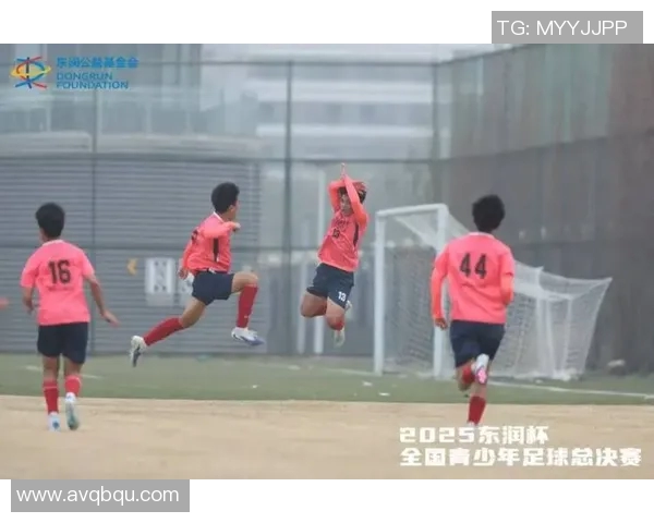 成都足球队崛起之路探寻他们背后的拼搏与梦想